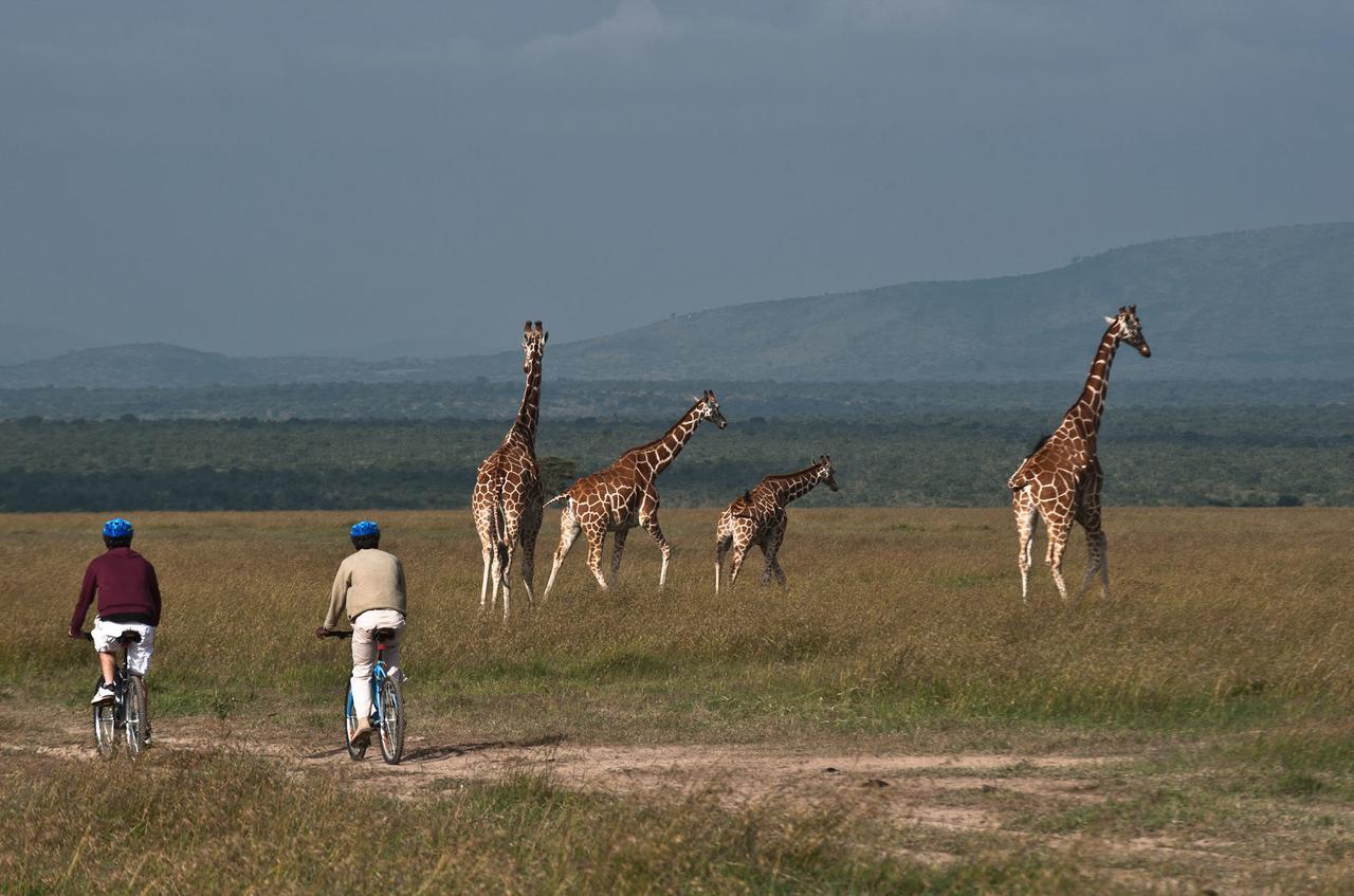 Вілла Kicheche Laikipia Camp Ol Pejeta Conservancy Екстер'єр фото