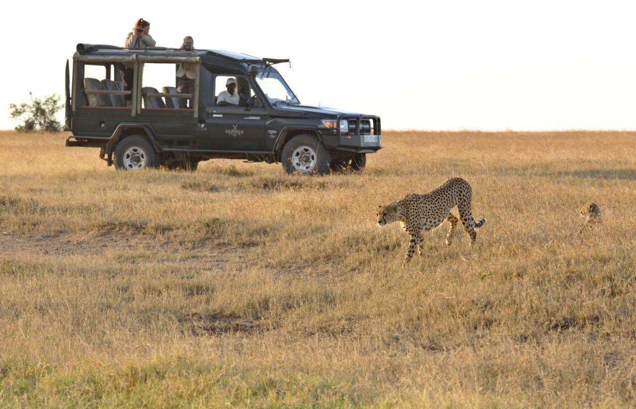 Вілла Kicheche Laikipia Camp Ol Pejeta Conservancy Екстер'єр фото